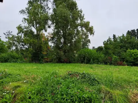 Terreno En Del Viso, B° Altos De La Morenita M086v