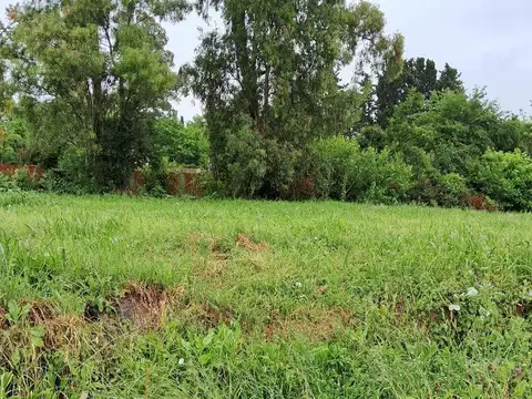 Lote B Altos de la Morenita M086V