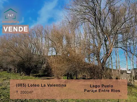 (085)LAGO PUELO, loteo La Valentina, Lotes de 2.000mt², en Paraje Entre Rios