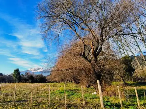 camino viejo