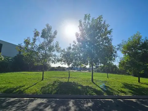 Lote en venta a laguna La Calesa, Pilará