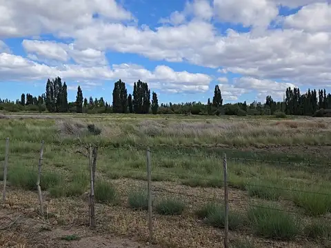 PROPIEDADES RURALES - CHACRA - GAIMAN