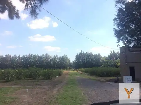 Avenida Eduardo Holmberg y Concejal Esteban Pisani