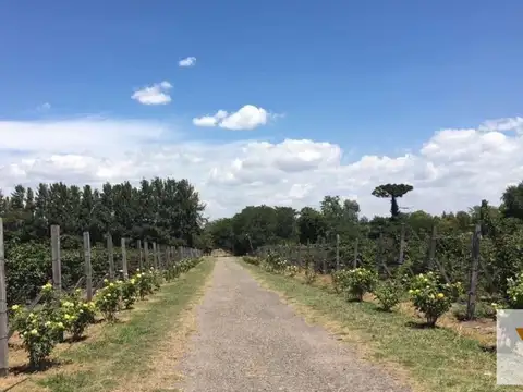 Quinta en Venta al Este