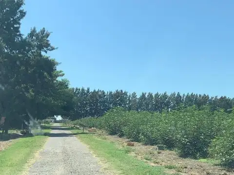 Quinta en Venta al Este
