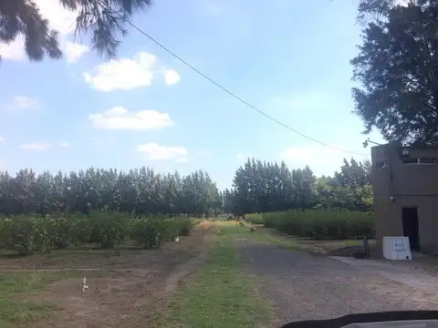 Avenida Eduardo Holmberg y Concejal Esteban Pisani
