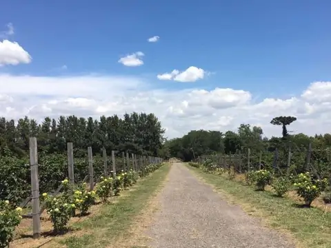 Quinta en Venta al Este