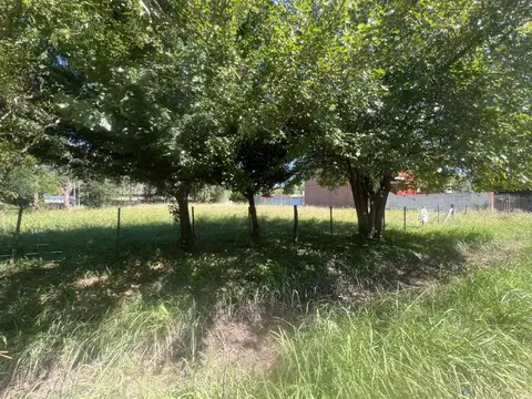 Juan XXIII y 9 de Julio