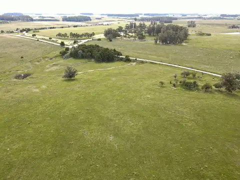 Camino Del Anastasio