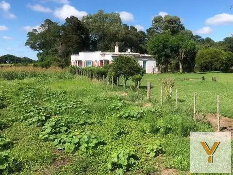 Campo en venta - 32.000 Mts2 - General Juan Madariaga