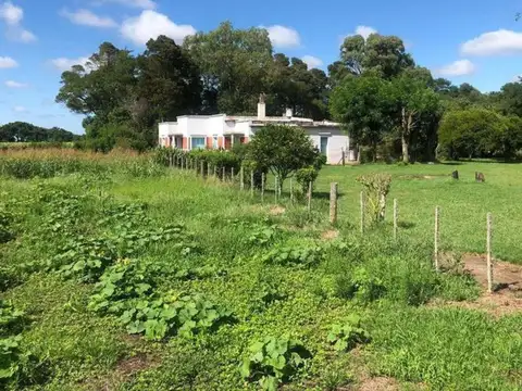 Campo en venta - 32.000 Mts2 - General Juan Madariaga