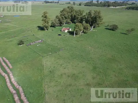 Lobos proximo ruta 40