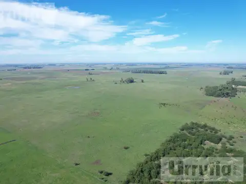 Lobos proximo ruta 40