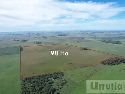 Campo en venta en Lobos