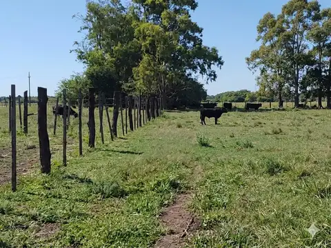 Campo en Venta en Concepcion del Uruguay, Uruguay