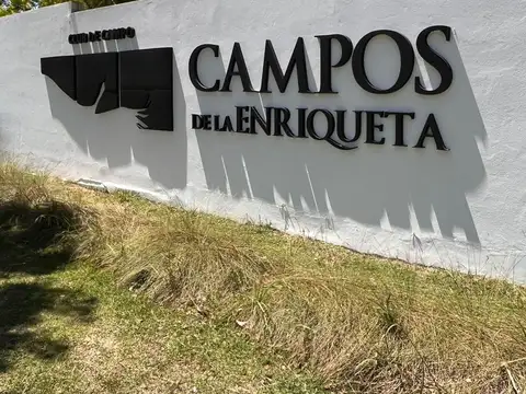 Campos La Enriqueta – Lote N° 188