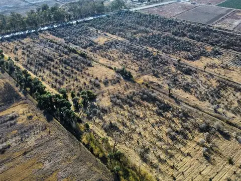 Campo en Venta de 100  ha