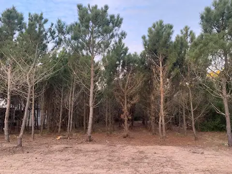 Terreno en Costa Esmeralda  Marítimo IV