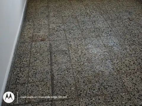 diogenes taborda 100