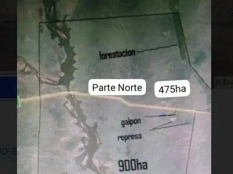 1675 ha CAMPO San Cristobal