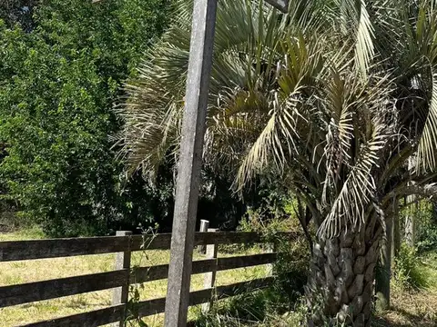 Terreno en Venta en Cañuelas Urbano, USD 37.500