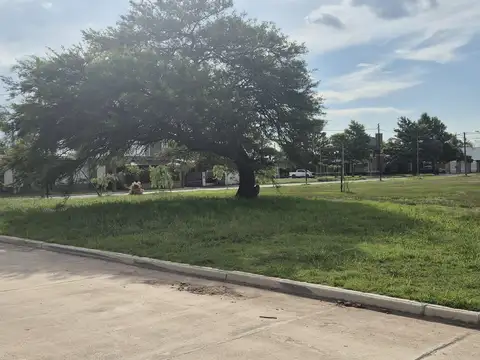 Oportunidad de Inversión: 4 Lotes con Escritura en Barrio San Cayetano  Oliva