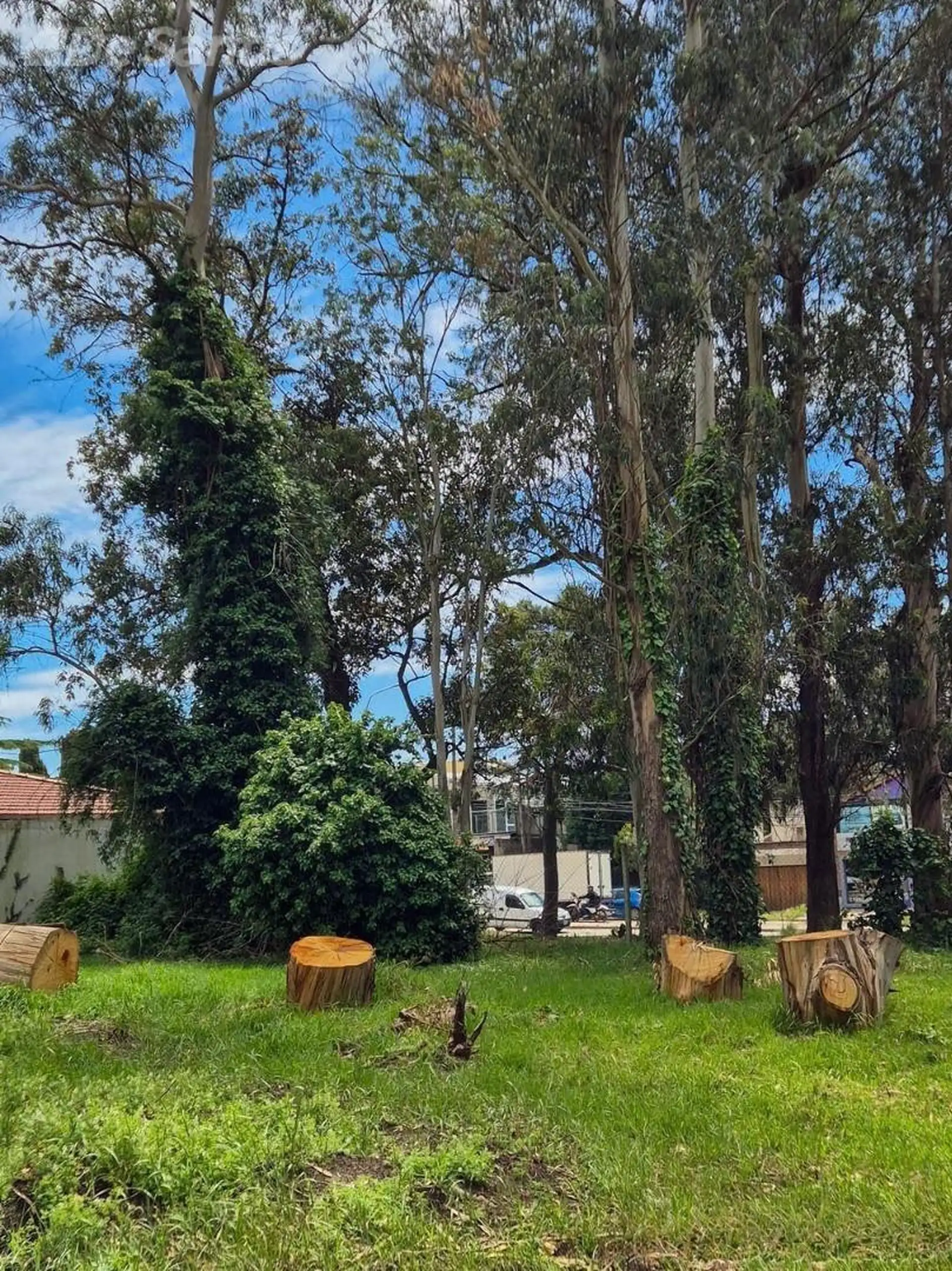 VENTA. TERRENO BOSQUE PERALTA RAMOS.