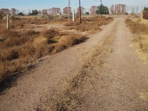 Arrascaeta (s/n) al 10