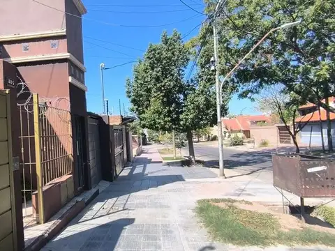 Maure Avelino 800