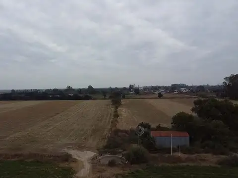 VENTA/ CAMPO/ AGRÍCOLA SUELO 1/ HUMBERTO PRIMO
