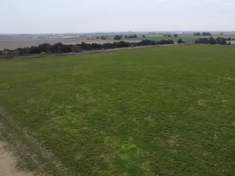 VENTA/ CAMPO/ AGRÍCOLA SUELO 1/ HUMBERTO PRIMO