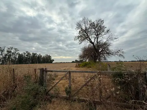 Zona Rural