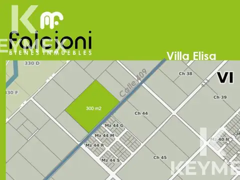Terreno en  Venta - Villa Elisa