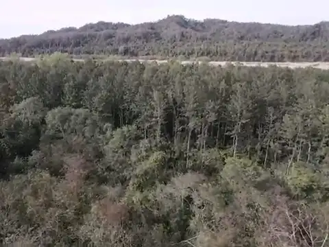 Campo  en venta de 6300 has en San Ramon De La Nueva Oran