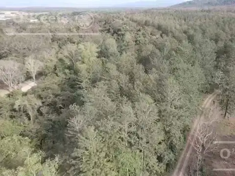 Venta de Campo de 6300 Has en Oran, Salta