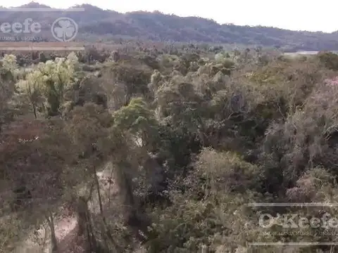 Venta de Campo de 6300 Has en Oran, Salta