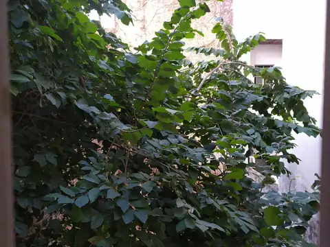 Oficina en Venta en Balvanera, USD 100.000