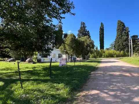 Calle Cornelio Saavedra