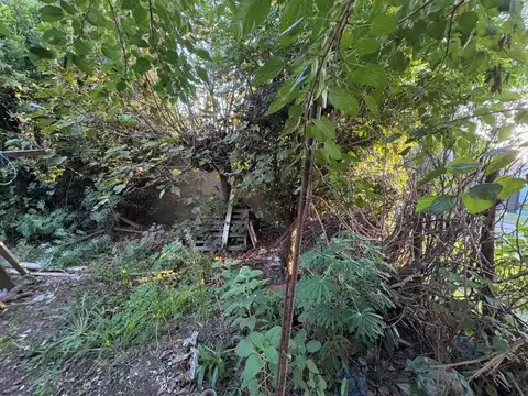 HELVECIA Y JEFFERSON 0