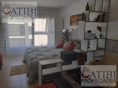 Departamento- "Vilena III"- Amoblado