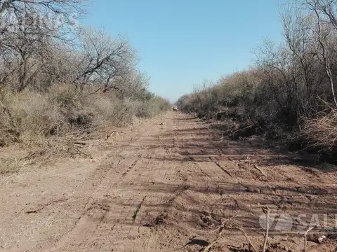 Campo en Venta Ganadero