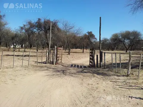 Campo en Venta Ganadero