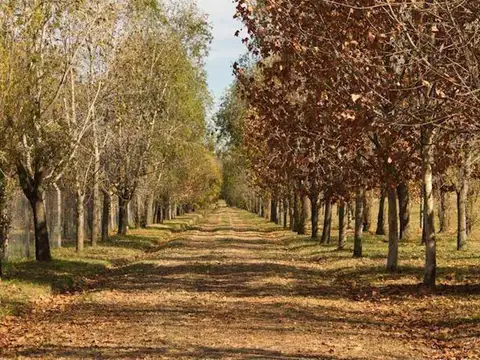 Terreno en Venta de 1000,0 m2