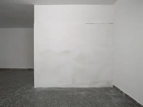 Macrocentro. Usandivaras 1000