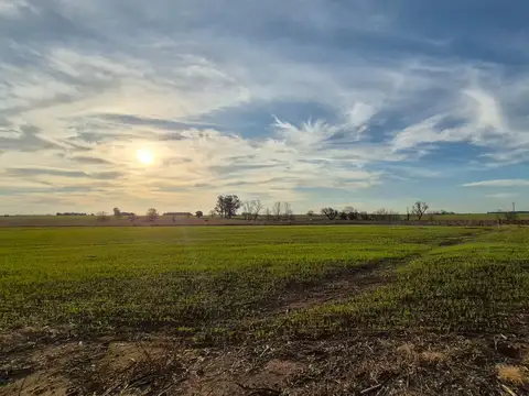 Ruta 191 San Pedro - Arrecifes