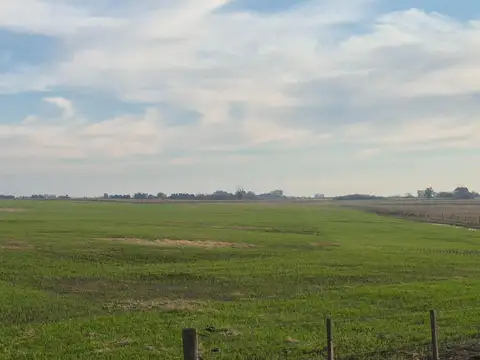 Ruta 191 San Pedro - Arrecifes