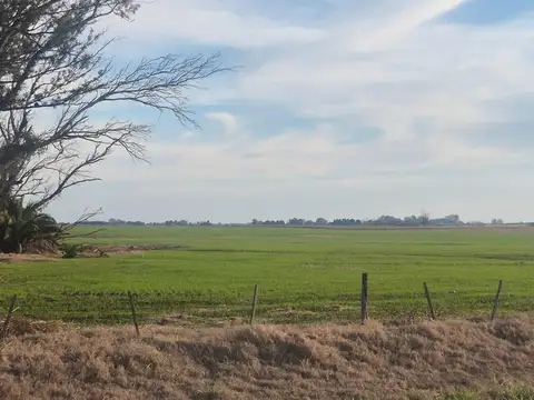 Ruta 191 San Pedro - Arrecifes