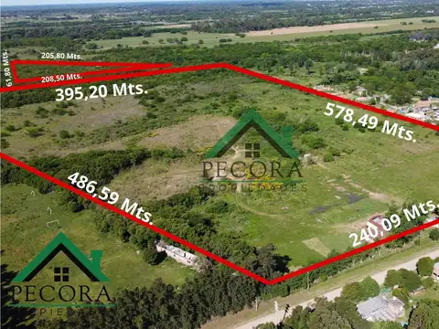 Campo 17,2HA - Terreno - Loma verde - Belen de Escobar - Calle Camino de las toscas y Los granaderos