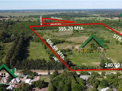 Campo 17,2HA - Terreno - Loma verde - Belen de Escobar - Calle Camino de las toscas y Los granaderos