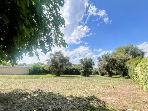 Terreno en Venta en Lujan de Cuyo, USD 230.000